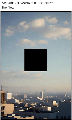 1000061060