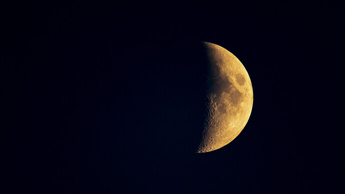 DSC_0743-NEF_DxO_DeepPRIME