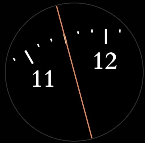 1000045196