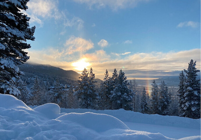Skärmavbild 2021-01-12 kl. 12.13.26